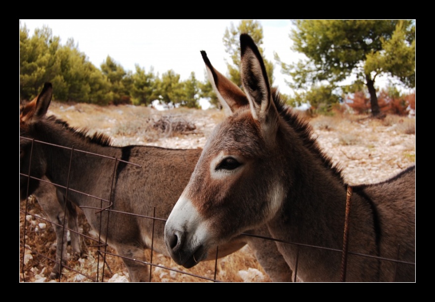 Makarska, Chorvatsko