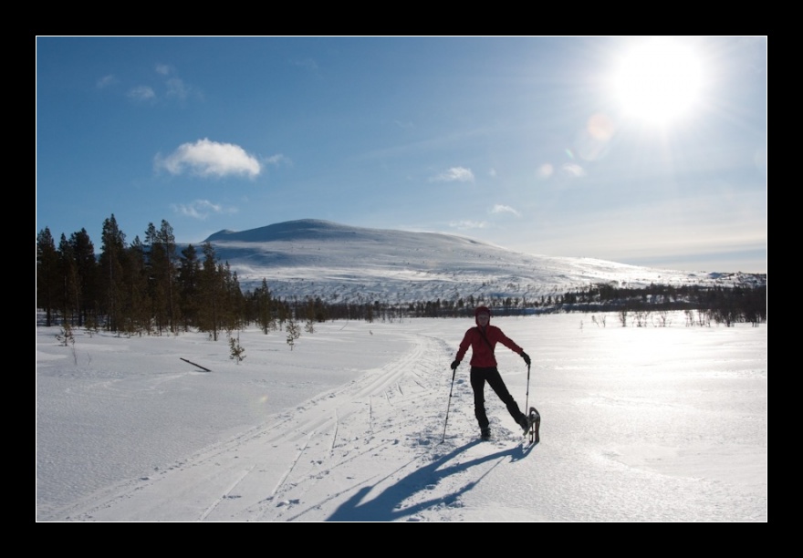 Pallas-Yllästunturi, Finsko