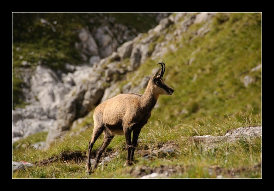 Berchtesgaden, Německo