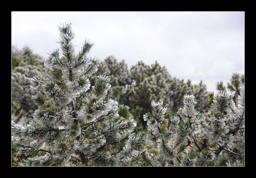 Nad Kotelní jámou, Krkonoše