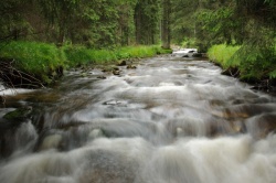 Prášilský potok, Šumava
