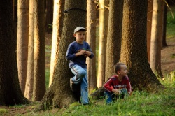 Tábor, Junák Červené Pečky