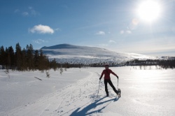 Pallas-Yllästunturi, Finsko