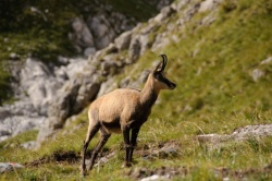 Berchtesgaden, Německo
